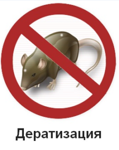 Услуги дератизации