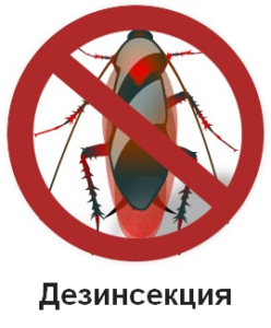 Услуги дезинсекции